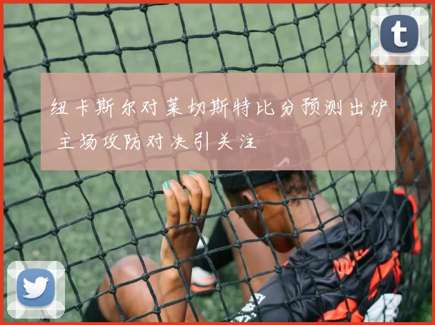 纽卡斯尔对莱切斯特比分预测出炉 主场攻防对决引关注