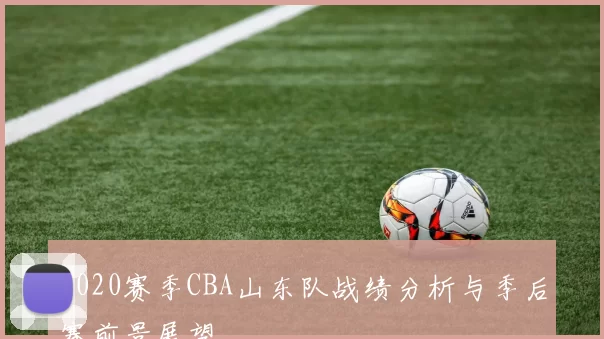 2020赛季CBA山东队战绩分析与季后赛前景展望