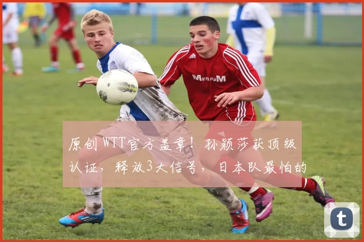 原创 WTT官方盖章！孙颖莎获顶级认证，释放3大信号，日本队最怕的事情发生了