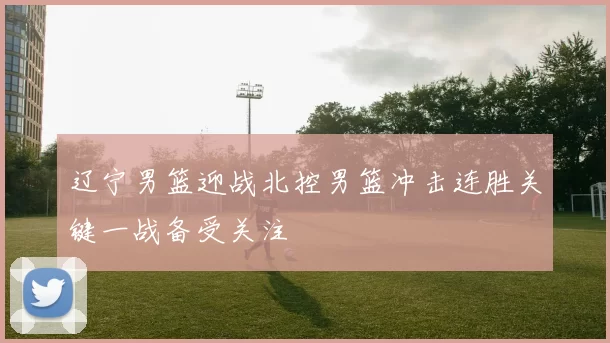 辽宁男篮迎战北控男篮冲击连胜关键一战备受关注