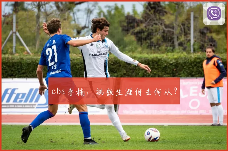 cba李楠，执教生涯何去何从？